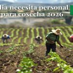 Italia necesita personal para cosecha 2026