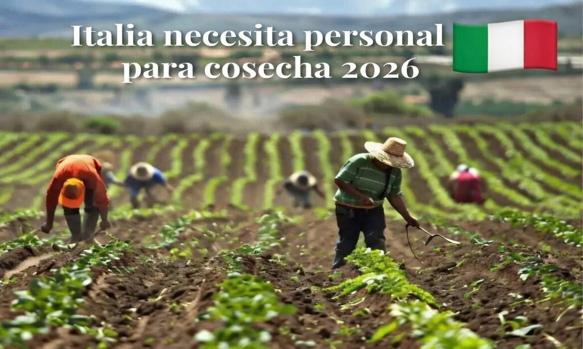 Italia necesita personal para cosecha 2026